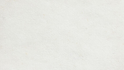 white paper texture