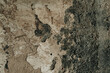Grunge concrete gray background. Space for text
