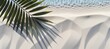 Tropical palm leaf shadow on water and white sand beach   abstract summer vacation background banner