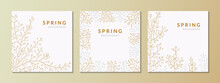 Set Of Square Spring Backgrounds With Golden And Silver Sakura Branches In Bloom. Elegant Greeting Card, Wedding Invitation, Social Media Post Template, Obituary, Condolence