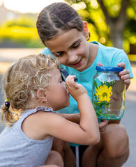 Wall Mural - A child looks into a jar with a magnifying glass. Selective focus.