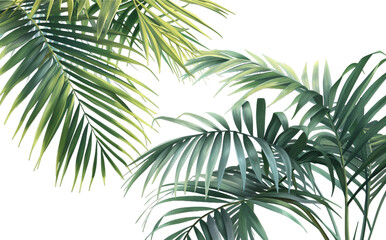 Sticker - palm tree isolated on white