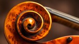 Closeup abstraction with a musical instrument. A beautiful musical form resembling a violin and stringed musical instruments
