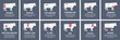Guide cutting meat carcass beef, cow, turkey, lamb, pork, chicken. Butcher guide. Diagrams сutting parts meat carcass domestic farm poultry and farm livestock. Vector flat color illustration isolated.