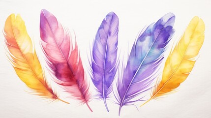 Wall Mural - Colorful feathers collection isolated on white background.