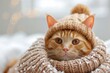 Ginger cat stays warm in the winter with a knitted hat and scarf, making the cold snow outside a little more bearable for this fluffy, funny feline.