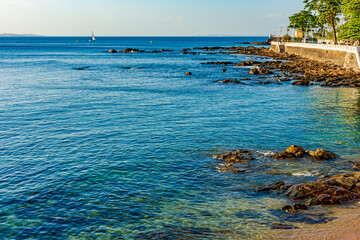 Wall Mural - Seafront of the city of Salvador in Bahia in the Porto da Barra neighborhood in a sunny summer day