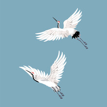 Two Beautiful White Cranes In Flight On A Blue Background.