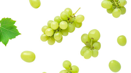 Sticker -  green grape on white background