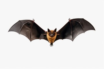 Poster - A bat flying through the air with its wings spread. Perfect for Halloween-themed designs or nature illustrations