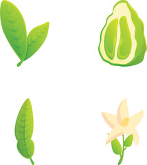 Poster - Lime icons set cartoon vector. Fresh organic green citrus. Healthy nutrition
