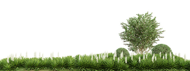 Wall Mural - Cutout of green plant isolated on transparent background, png landscape design, 3d render illustration.