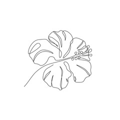 Wall Mural - Hibiscus flower in continuous line art drawing style. Hibiscus black line sketch