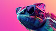 Chameleon wearing sunglasses against a solid background.