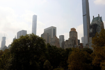 Poster - Centralp Park of Manhattan