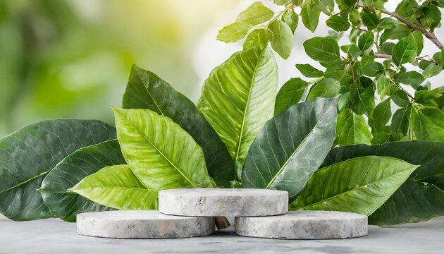 Green leaves and stone slabs product display, white podium and platforms,