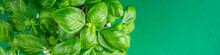 Basil Fresh Green Bush Aromatic Herb Tasty Fresh Healthy Eating Cooking Appetizer Meal Food Snack On The Table Copy Space Food Background Rustic Top View