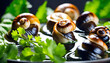 © Perecciv - Cooked Escargots De Bourgogne snails with garlic butter and parsley on a plate in a restaurant, delicious and healthy food,