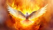 Pentecost Sunday Special. Symbol of Holy Spirit 