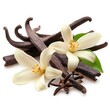 Vanilla flowers and pods, isolated on white, Generative AI