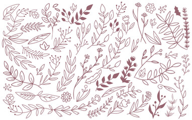 Wall Mural - hand plant collection. Botanical set sketch flowers branches. , hand-drawn. Beautiful flower on a transparent background. The vector wildflowers and flowers are highly detailed line art style.