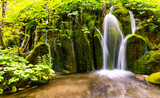 Fototapeta Las - Cascade panorama at Plitvice Lakes or “Plitvička jezera“ National Park in Croatia with bright green vegetation. Pool and waterfall in natural reserve and tourist attraction with longtime exposure.