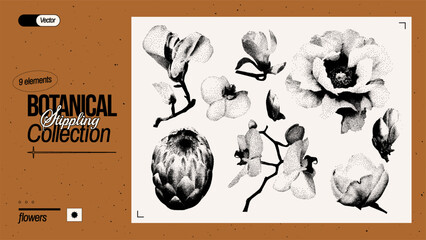 Set of different flowers. Vintage plant elements with a grainy photocopy effect. Grunge dotted stickers with stippling effect. Vector illustration.