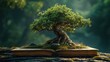 a bonsai tree on a book, in the style of mythology-inspired, clear edge definition, reverent and tranquil, spectacular show of ages, studyplace, calculated, unreal engine 