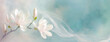 Tapeta, kwiaty wiosenne, biała magnolia