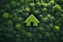 Eco Home: Harmony With Nature