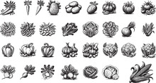 Big Set Of Vegetables, Seamless Background Pattern Of Organic Farm, Fresh Vegetables Set Sketch, Potato, Tomato, Onion, Paprika, Garlik, Carott, Corn, Cabbage Black And White Vector Graphics