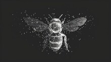  A Black And White Photo Of A Bee With Bubbles Of Water On It's Back And A Black Background With White Dots On The Front Of The Bees Wings.