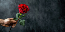 Close-up Of Male Hand Holding Red Rose On Dark Background