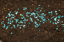 Brown Soil With Blue Granular Fertilizer