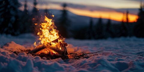 Poster - Bonfire in the winter forest. Burning bonfire in the winter forest.