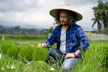 Asian farmers ready to plant rice. happy face of asian farmer. Rice seeds ready for planting