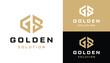 Golden Initial Letter GS S G SG with Simple Hexagon Line Art Logo Design