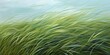 © BackgroundWorld - Whispering grasses, with flowing lines and shades of green, capturing the gentle sway of grass in the wind