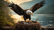 Experience of witnessing a bald eagle's controlled descent onto a lakeside nest and convey the significance of the moment as the eagle provides a glimpse into the circle of life in the natural world