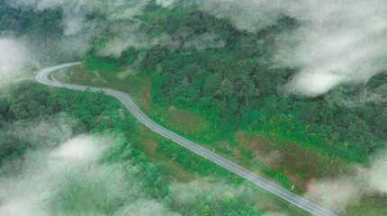 Wall Mural - Aerial view of dark green forest road and white electric car Natural landscape and elevated roads Adventure travel and transportation and environmental protection concept	
