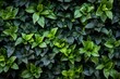 Modern office green living wall with perennial plants - urban gardening landscaping interior design