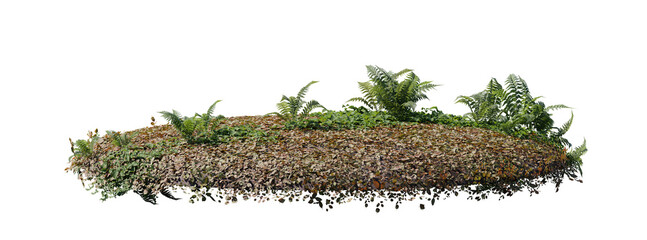 round surface patch covered with flowers, green leaf rock fern or dry grass isolated on white backgr