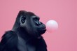 A stunning side profile of a gorilla blowing a bubble gum against a pink background, highlighting a contrast between nature and human-like behavior