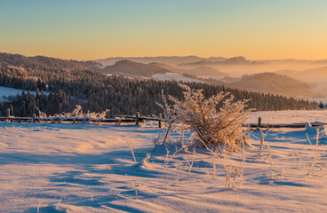 Wall Mural - Extremely frosty mountain landscape at sunrise.Pieniny mountain,Poland.