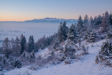 Wall Mural - beautiful winter scenery showing winter sunrise in the pieniny mountains in poland
