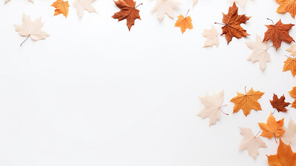 Wall Mural - maple leaves on a white background isolated frame of fallen leaves autumn blank