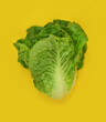 Lettuce on a yellow background, abstraction, top view - dieting, vitamins, health.