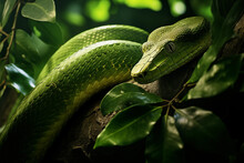 A Green Snake Gracefully Climbs A Tree, Its Body Twining Around Branches And Leaves