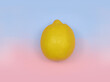 Lemon on blue and pink background, abstraction, isolated. 