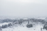 Fototapeta Las - ドローン撮影：真っ白な雪に覆われた山